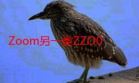 Zoom另一类ZZO03：窥探未知的数字世界！