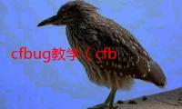 cfbug教学（cfbug大全）