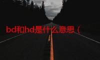 bd和hd是什么意思（bd和hd指什么意思）