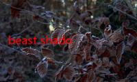 beast shadow（关于beast shadow的介绍）