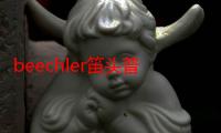 beechler笛头普通版多少钱（beechler）