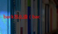 back怎么读（back的读法）