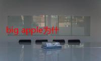 big apple为什么是纽约的意思（big apple）