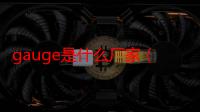 gauge是什么厂家（gauge是什么单位）