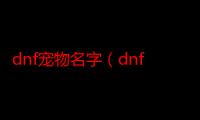 dnf宠物名字（dnf四字宠物名字）