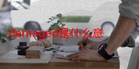 damaged是什么意思（damage的用法）