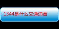 1344是什么交通违章（1344是什么交通违章）