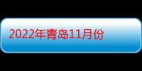 2022年青岛11月份有雪吗