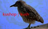 kushop（kush）