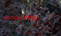 ipsniper手机版（ipsniper）