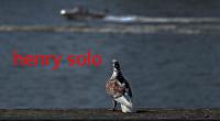 henry solo 歌手（henry solo）