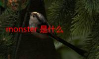 monster 是什么意思译（monster什么意思中文翻译）