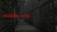 middle school 与high school（secondary school与middle school的区别）