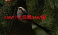 new什么意思new是什么-生活常识