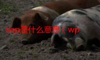 sop是什么意思（wpu是什么意思）