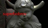 superbobrovy（关于superbobrovy的简介）