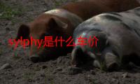 sylphy是什么车价格表（sylphy是什么车型）