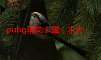 pubg辅助卡盟（求大家帮忙快哭了！我昨晚在百度搜索欧尚卡盟 然后点进去 里面是欧尚网络 是一些代充的业务然后我）