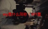 wy是什么简称（WY是什么简称）